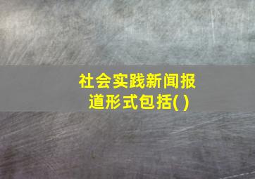 社会实践新闻报道形式包括( )